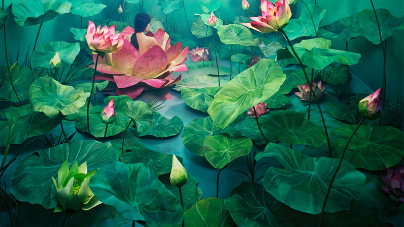 Illustration for article titled The 100 Most Astonishing Images of 2013